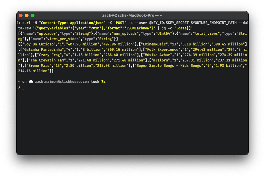 endpoint curl test - Zoomed